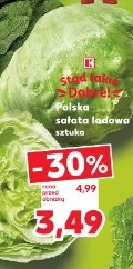 Polska sałata lodowa
