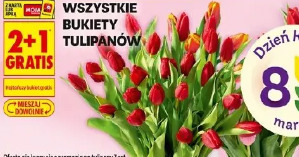 Wszystkie bukiety tulipanów