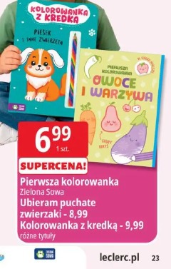 Pierwsza kolorowanka Zielona Sowa