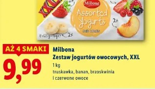 Milbona Zestaw jogurtów owocowych, XXL