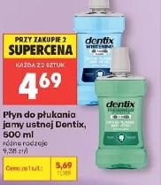Płyn do płukania jamy ustnej Dentix, 500 ml