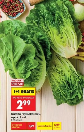 Sałata rzymska mini, opak.