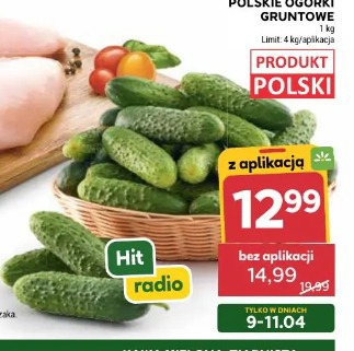 Polskie ogórki gruntowe