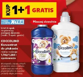Coccolino Koncentrat do płukania
