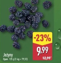 Jeżyny