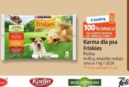 Karma dla psa Friskies Purina