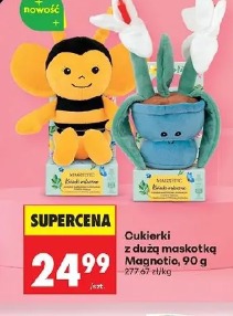 Cukierki z dużą maskotką Magnetic