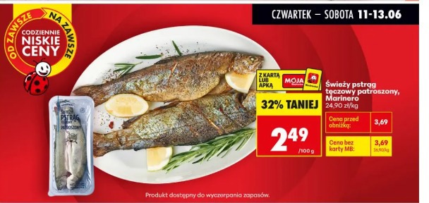Świeży pstrąg tęczowy patroszony Marinero
