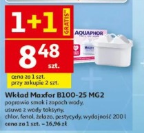 Wkład Maxfor B100-25 MG2