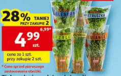 Zioła w doniczce: lubczyk, bazylia, mięta, kolendra, szczypior lub pietruszka