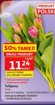 Tulipany