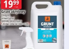 Grunt akrylowy Dragon