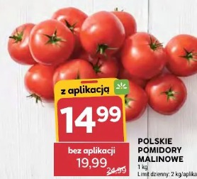 Polskie pomidory malinowe