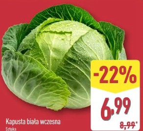 Kapusta biała wczesna