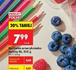 Borówka amerykańska polska KL