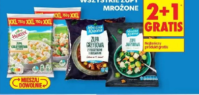 Wszystkie zupy mrożone