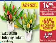 Gardenline Tulipany bukiet
