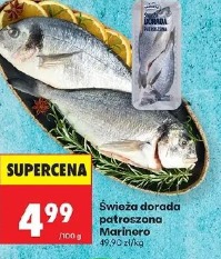 Świeża dorada patroszona Marinero