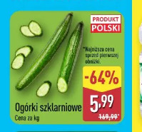 Ogórki szklarniowe
