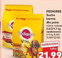 Pedigree Sucha karma dla psów
