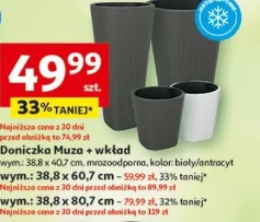 Doniczka Muza + wkład