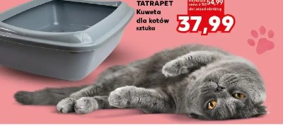 Tatrapet Kuweta dla kotów