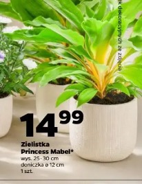 Zielistka Princess Mabel
