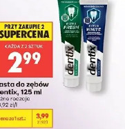 Pasta do zębów Dentix, 125 ml