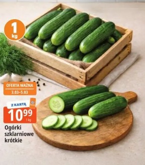 Ogórki szklarniowe krótkie