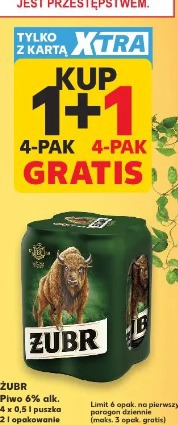 Żubr piwo 6% alk.