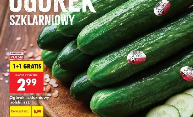 Ogórek szklarniowy polski