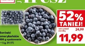 Borówki amerykańskie