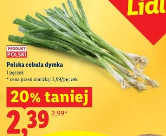 Polska cebula dymka