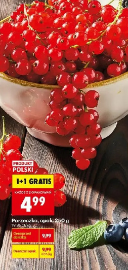 Porzeczka