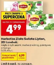 Herbatka Zioła Świata Lipton