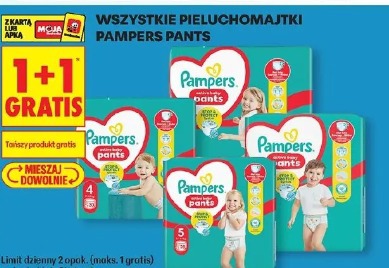 Wszystkie pieluchomajtki Pampers Pants