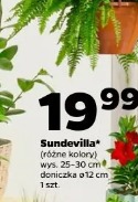 Sundevilla