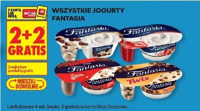 Wszystkie jogurty Fantasia
