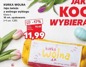 Kurka Wolna Jaja świeże z wolnego wybiegu klasa L