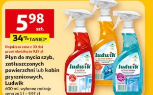 Płyn do mycia szyb, zatłuszczonych powierzchni lub kabin prysznicowych Ludwik