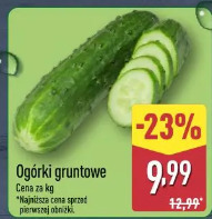 Ogórki gruntowe