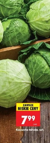 Kapusta młoda