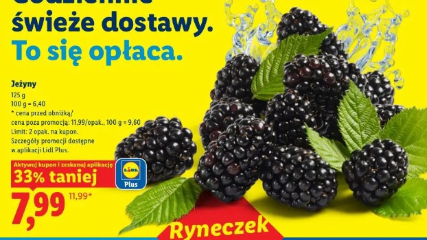 Jeżyny