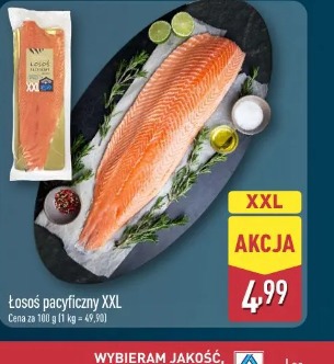 Łosoś pacyficzny XXL