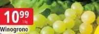 Winogrono jasne