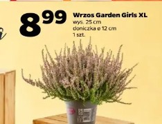 Wrzos Garden Girls XL