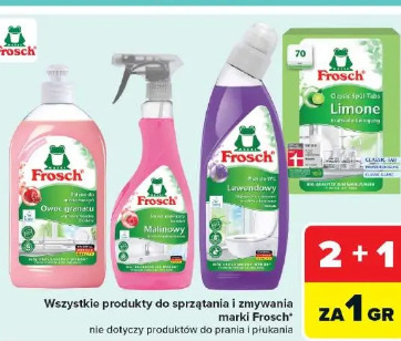 Frosch produkty do sprzątania i zmywania