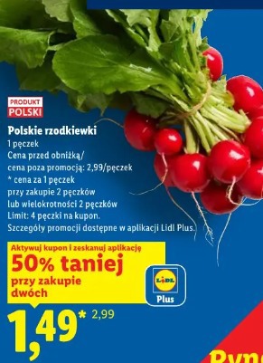 Polskie rzodkiewki