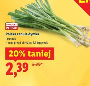 Polska cebula dymka
