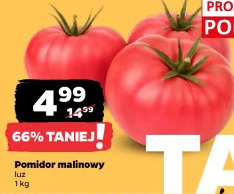 Pomidor malinowy